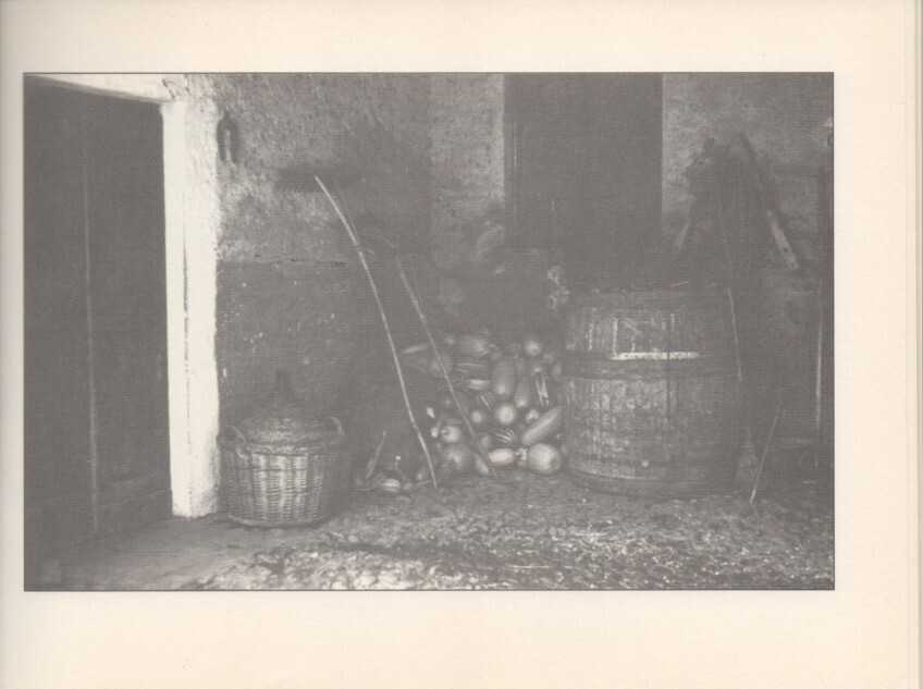  - foto 58