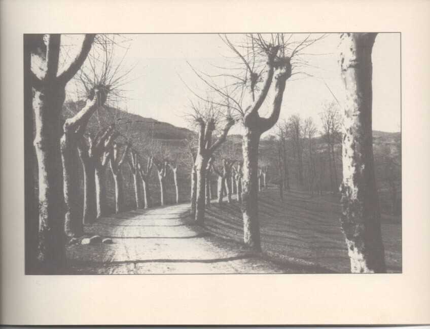  - foto 63
