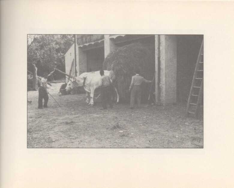  - foto 64