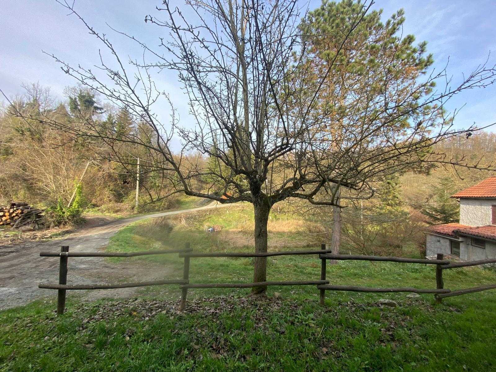  - foto 14