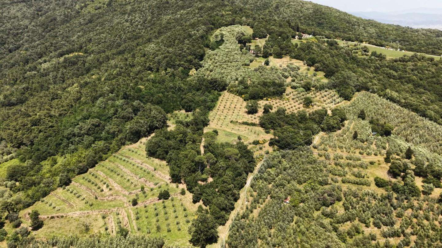 Terreno agricolo Via Pietramarina,  50059, Vinci
