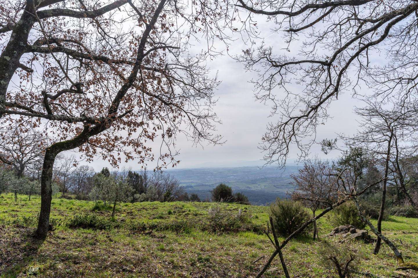  - foto 34