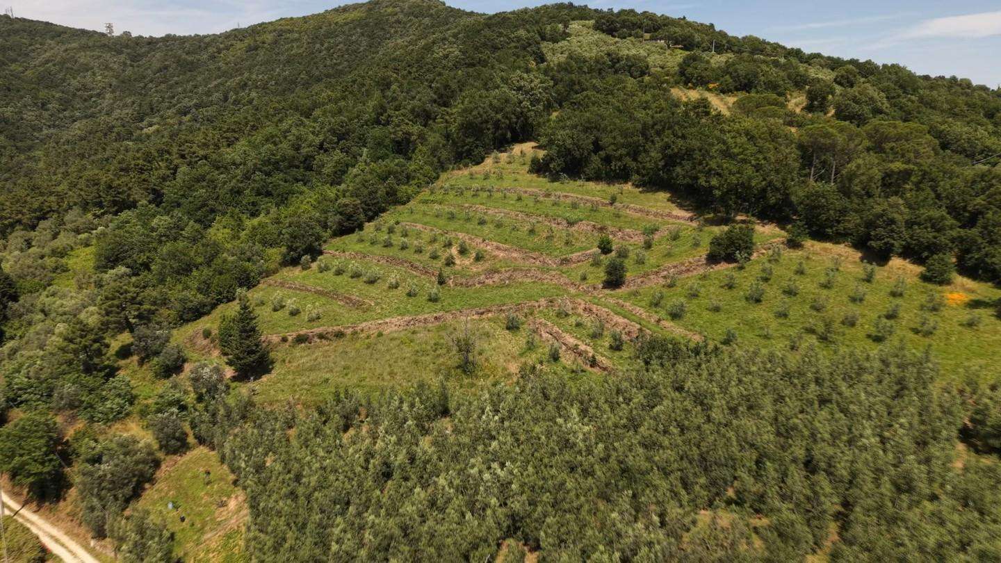  - foto 4