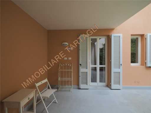  - foto 13