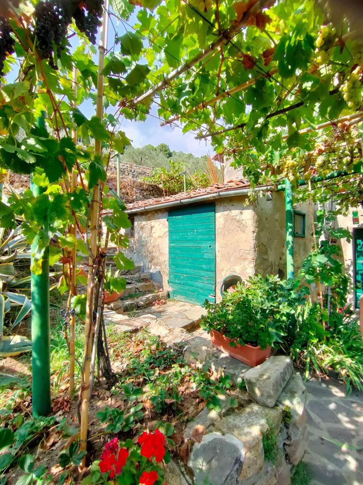 Casale Via Vecchia di Tre Colli,, Calci