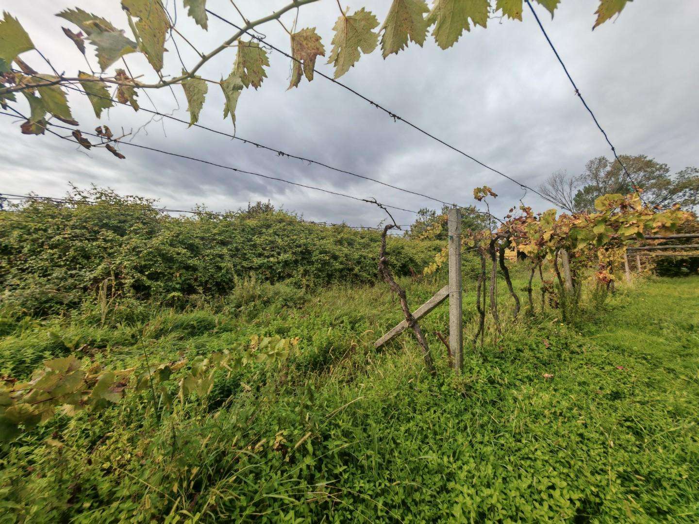 Terreno agricolo Fivizzano, Carrara