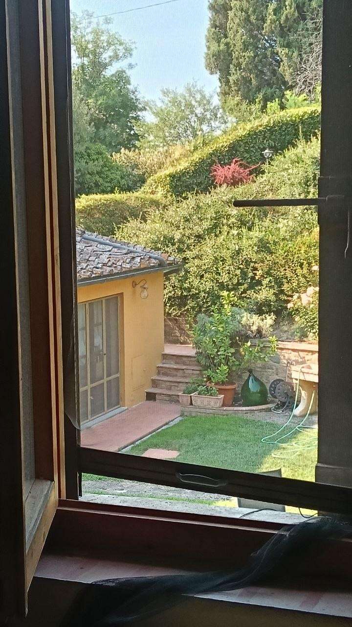  - foto 18