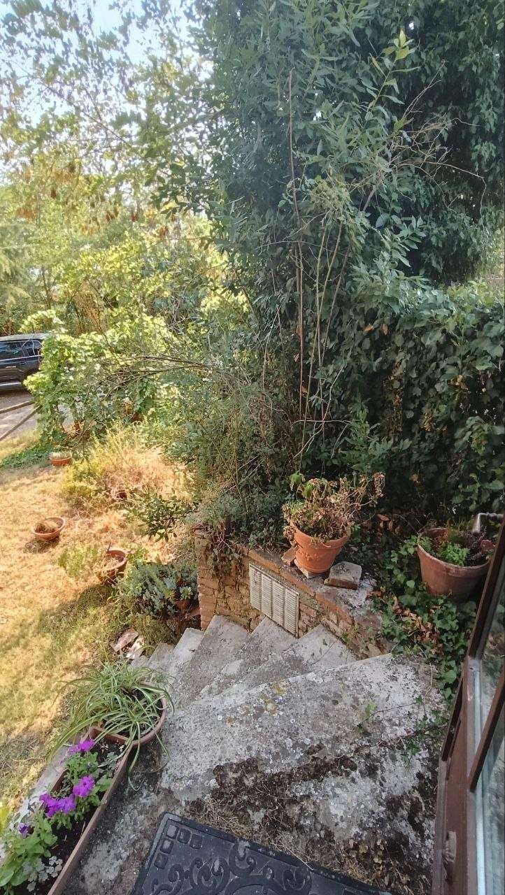  - foto 22