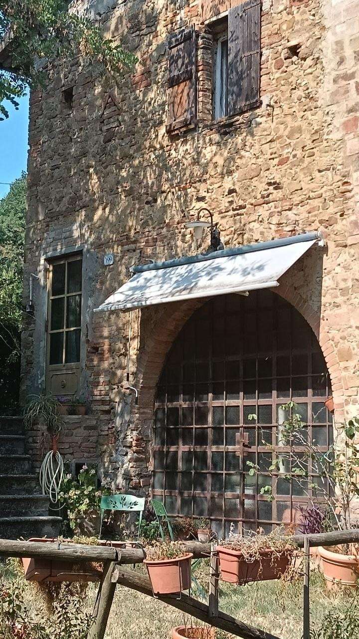  - foto 23