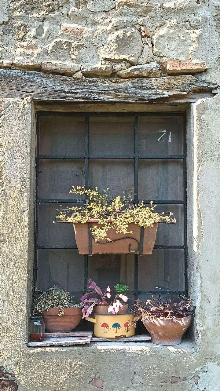  - foto 27