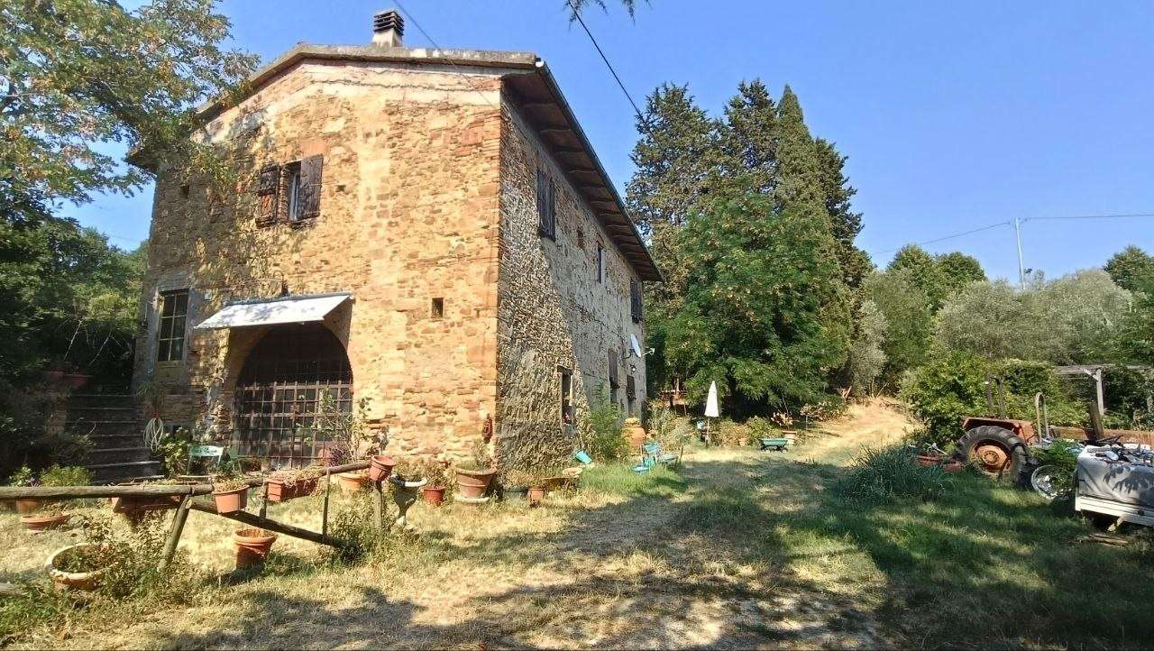  - foto 28