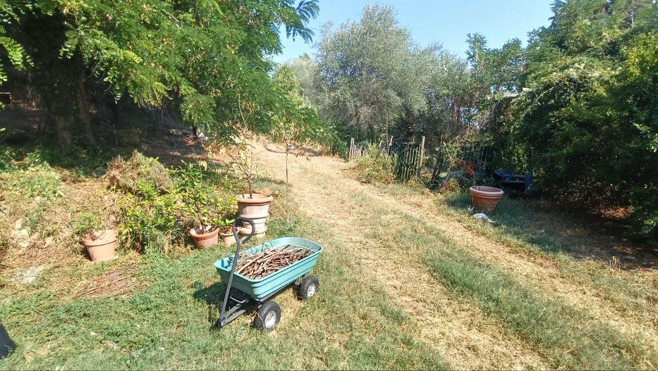  - foto 29