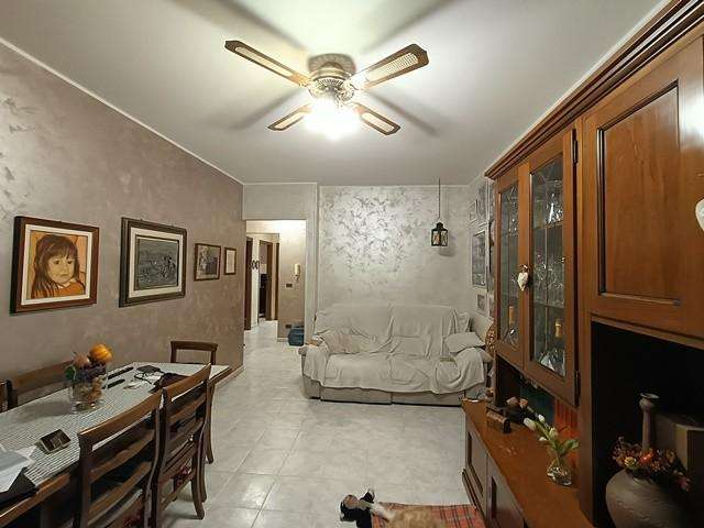  - foto 7