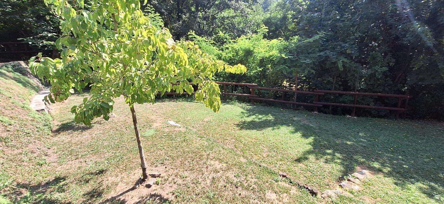  - foto 7