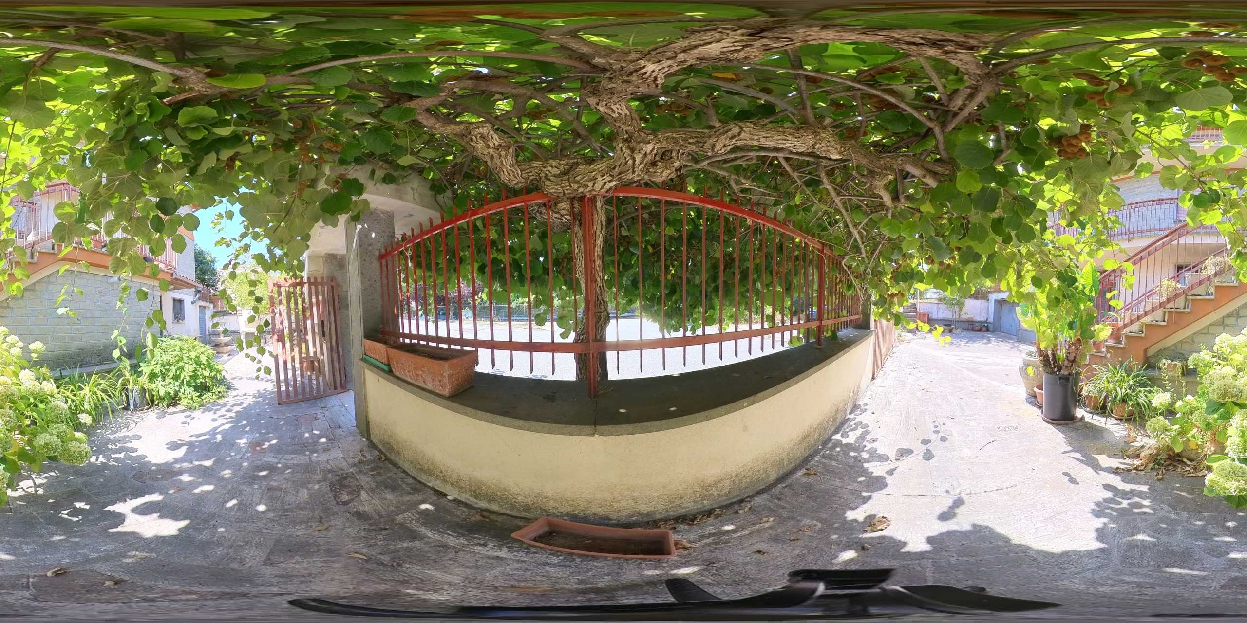  - foto 22