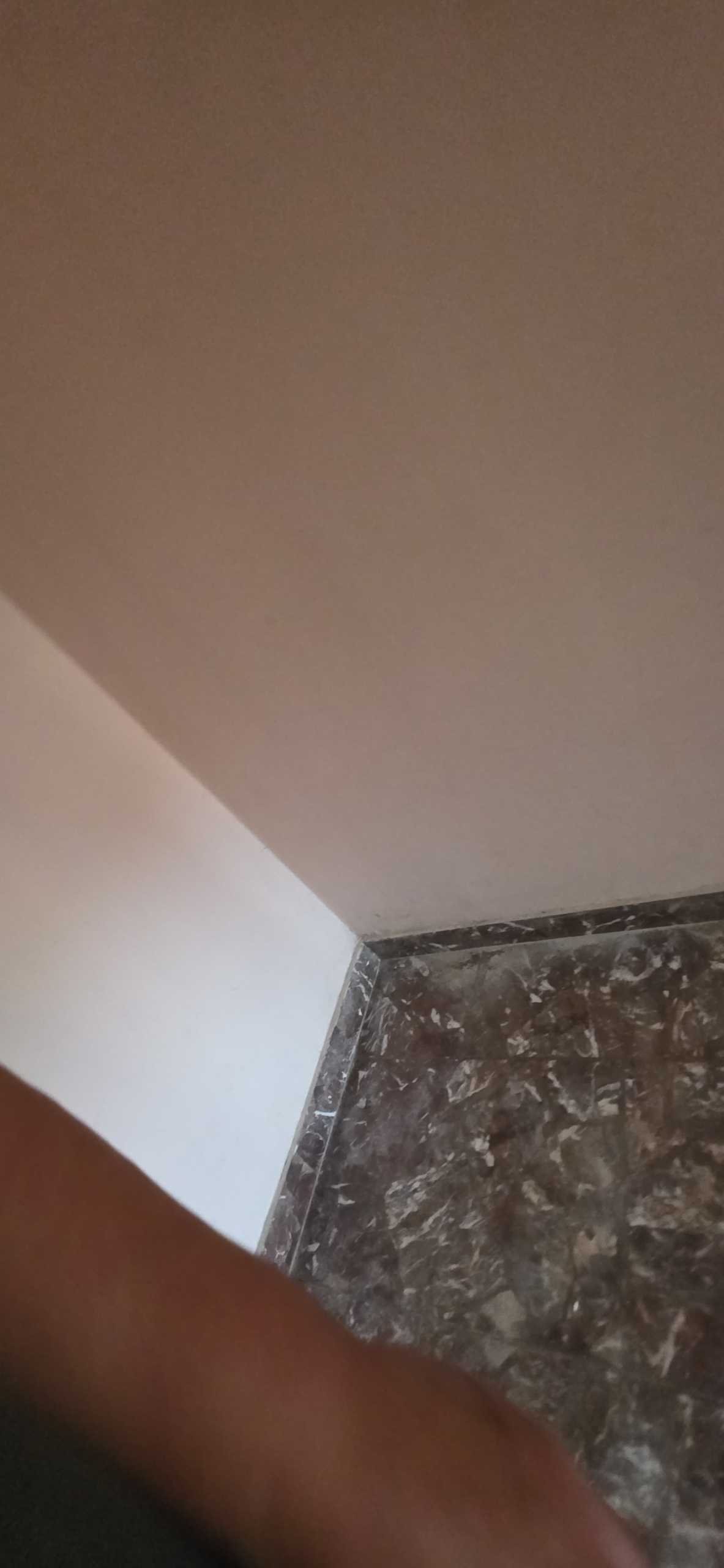  - foto 39