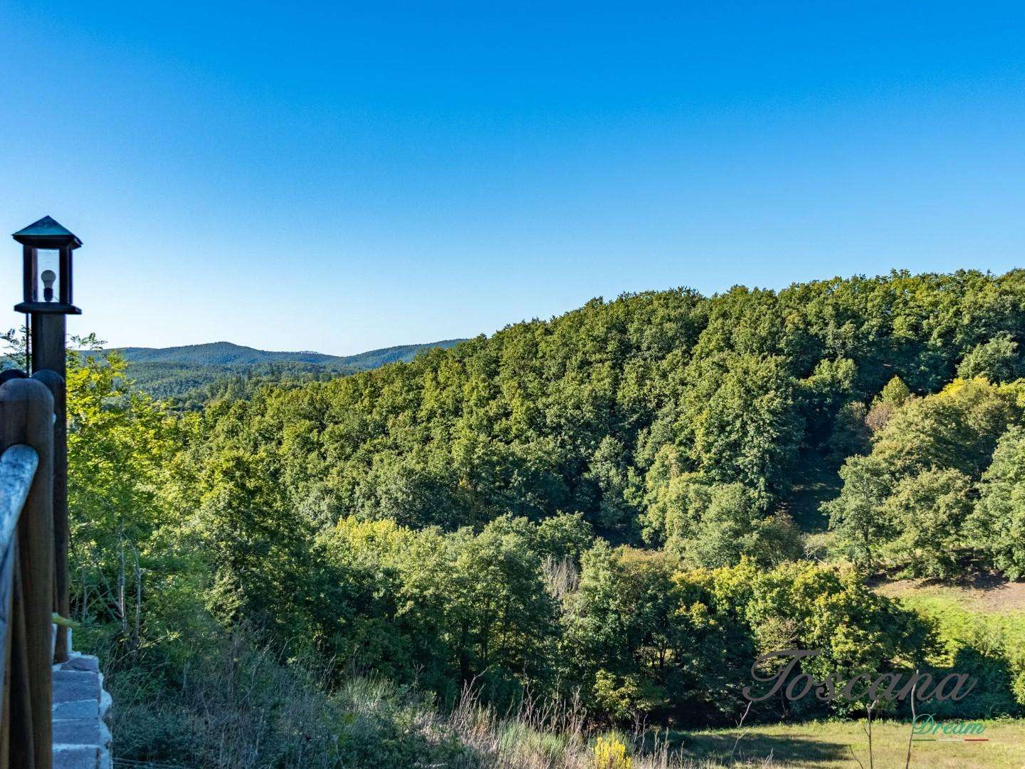  - foto 47