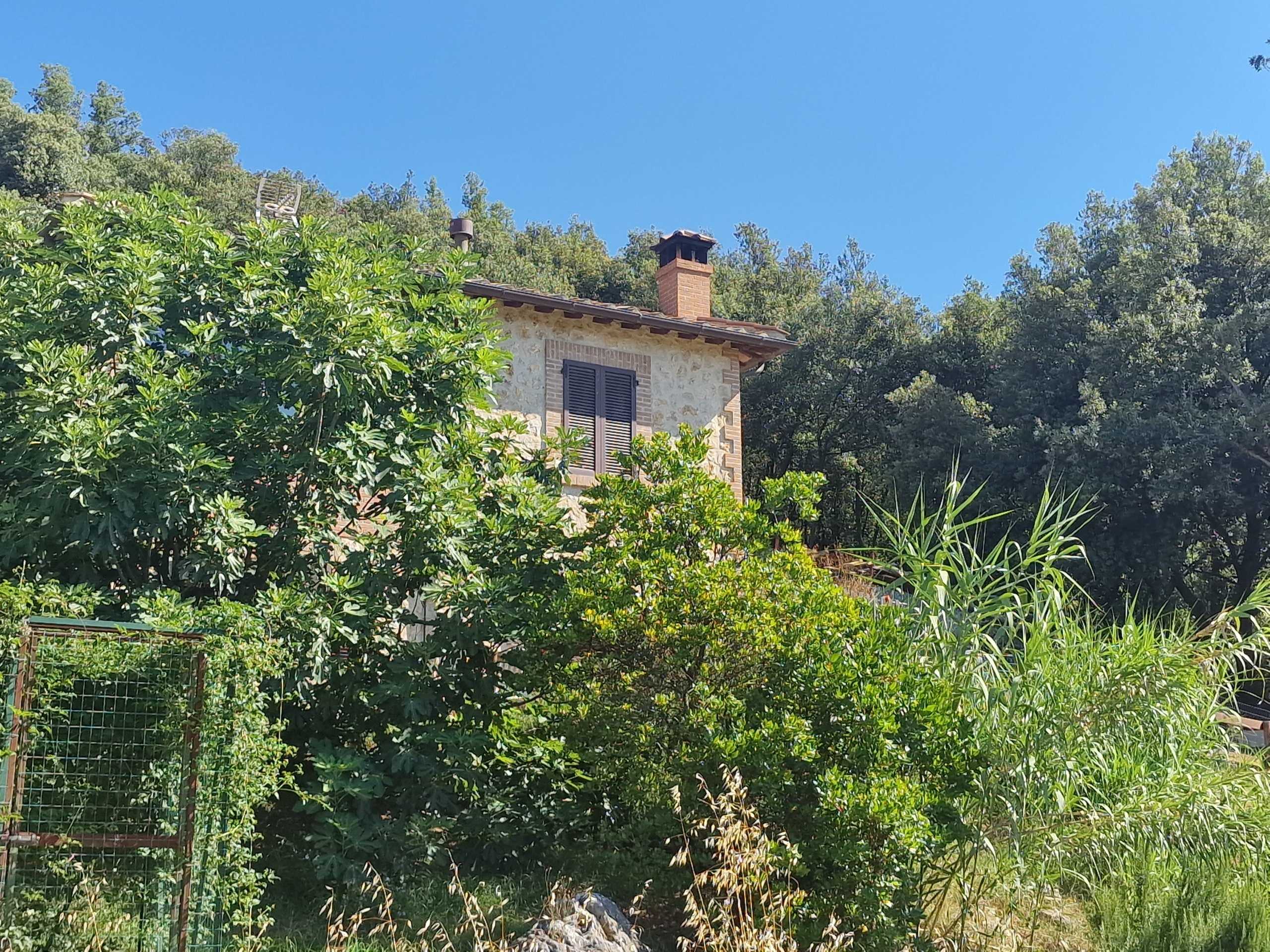  - foto 12