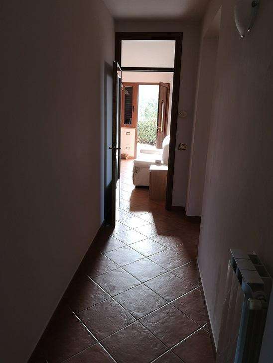  - foto 12