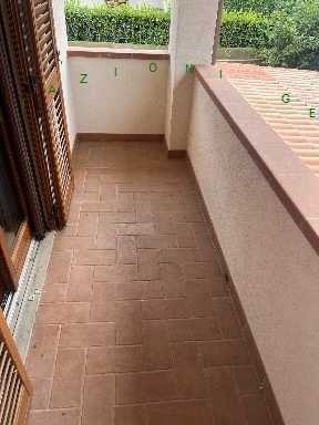  - foto 12
