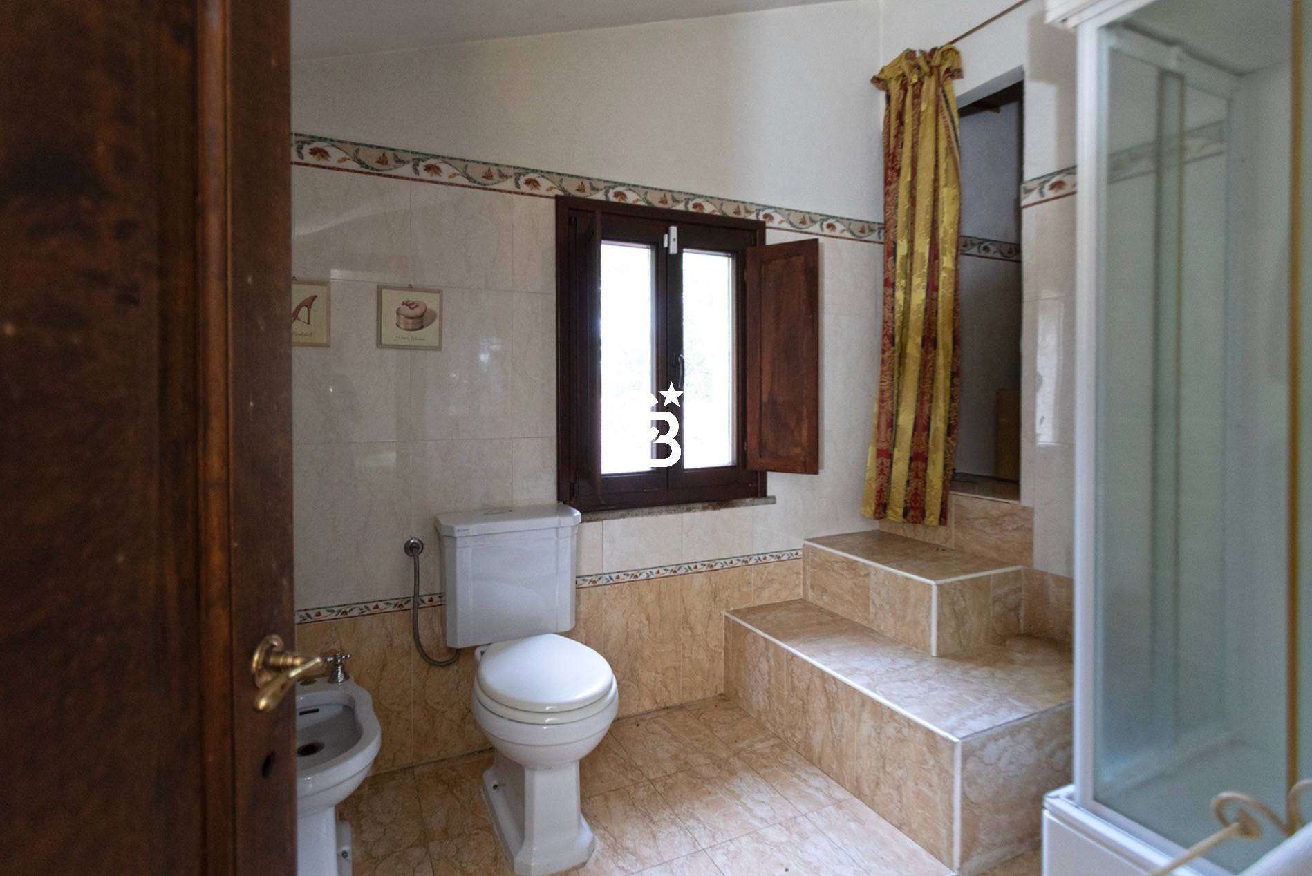  - foto 39