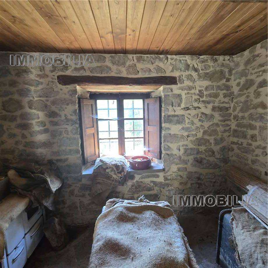  - foto 31