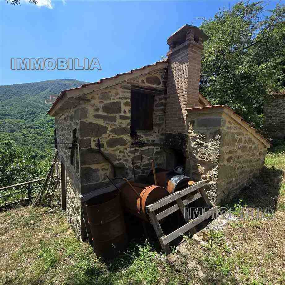  - foto 32