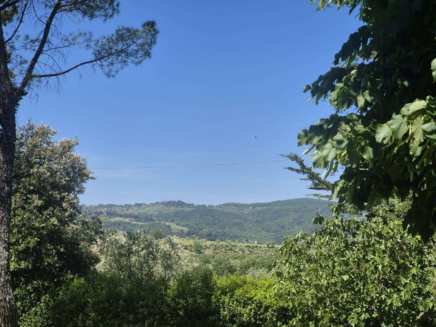  - foto 21