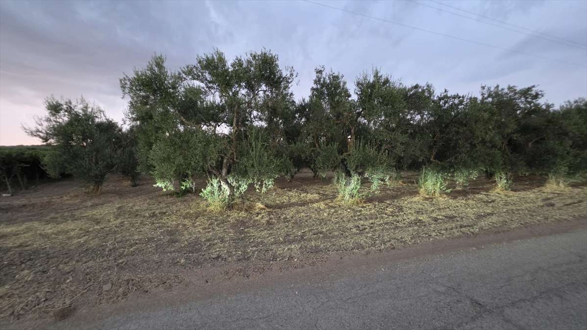 Terreno agricolo CONTRADA TAVOLETTA, Cerignola