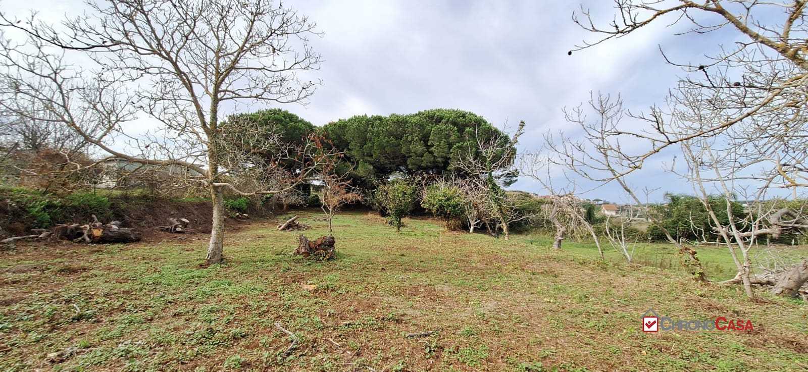  - foto 6