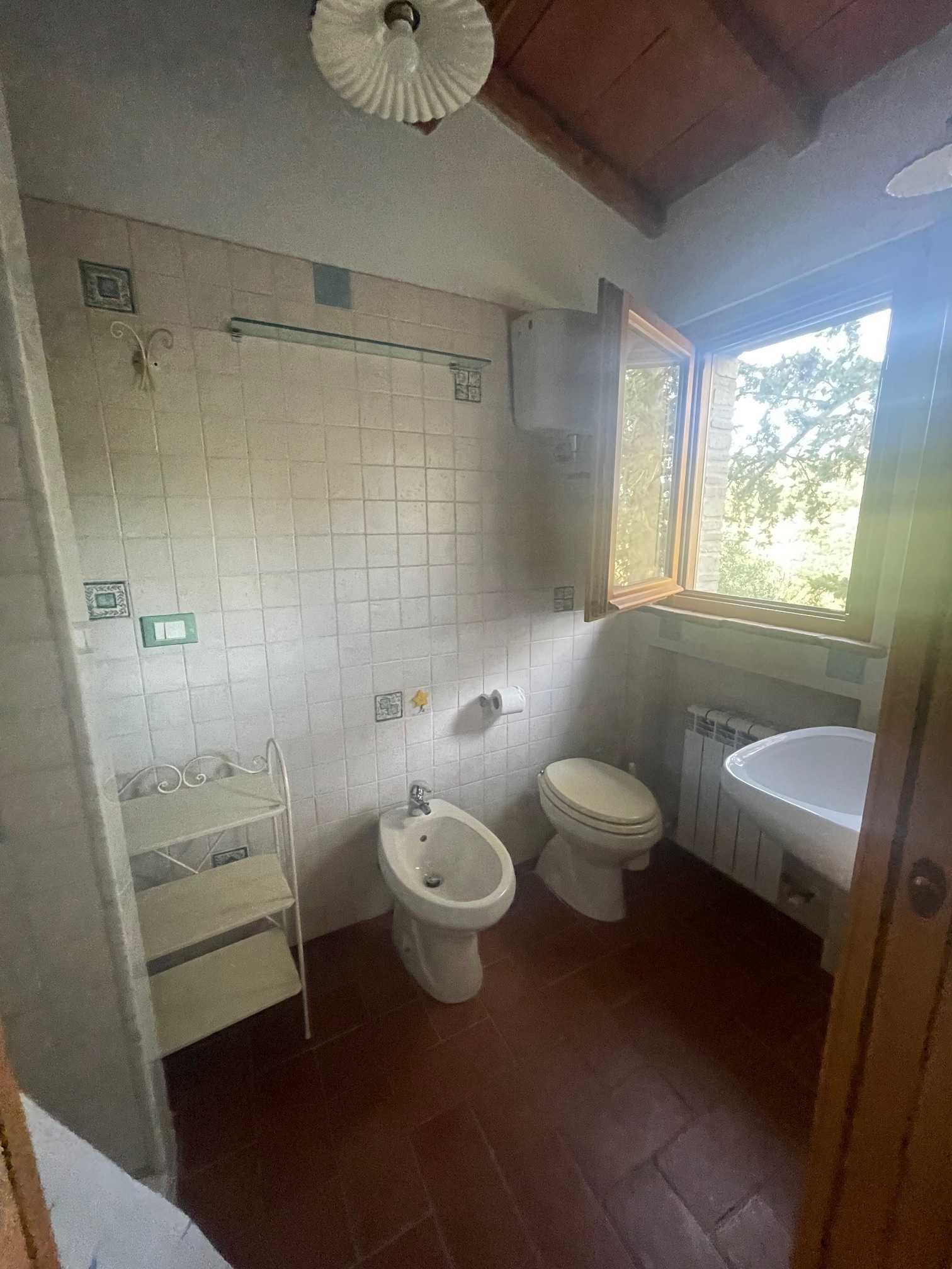  - foto 11