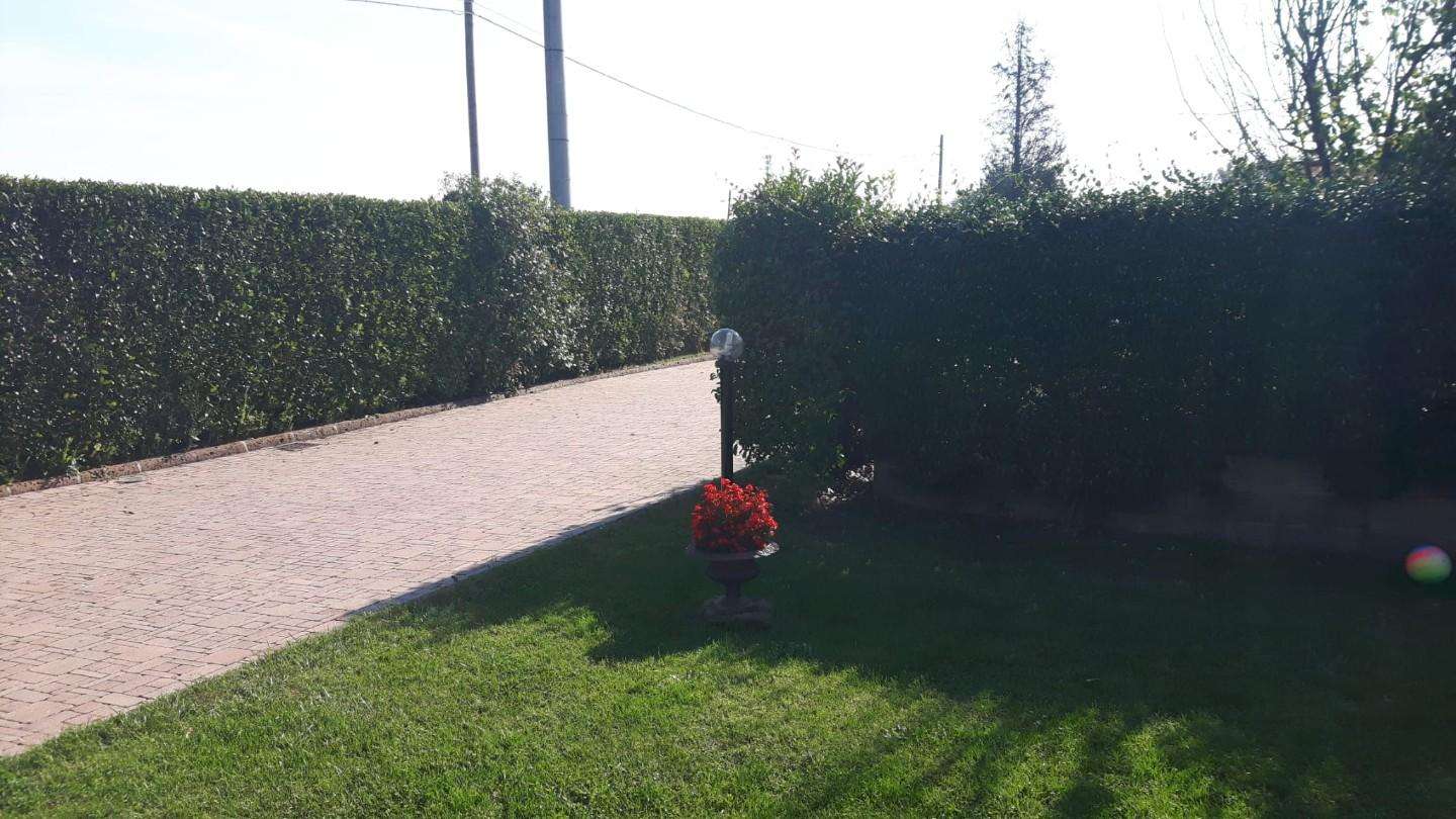  - foto 21
