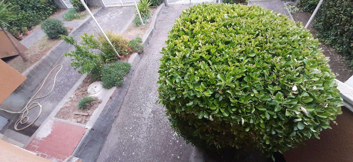  - foto 10