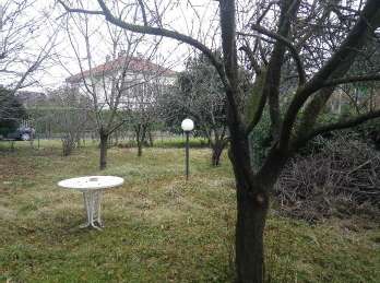  - foto 14