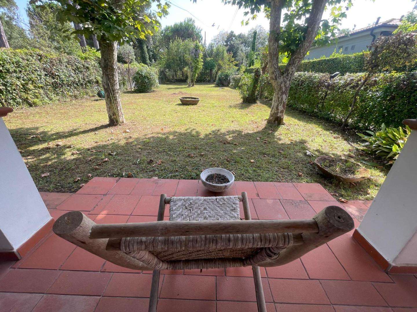 Attività  commerciale Via dei Fichi,, Massa