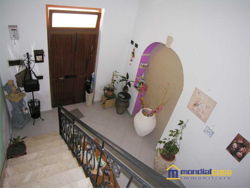  - foto 3