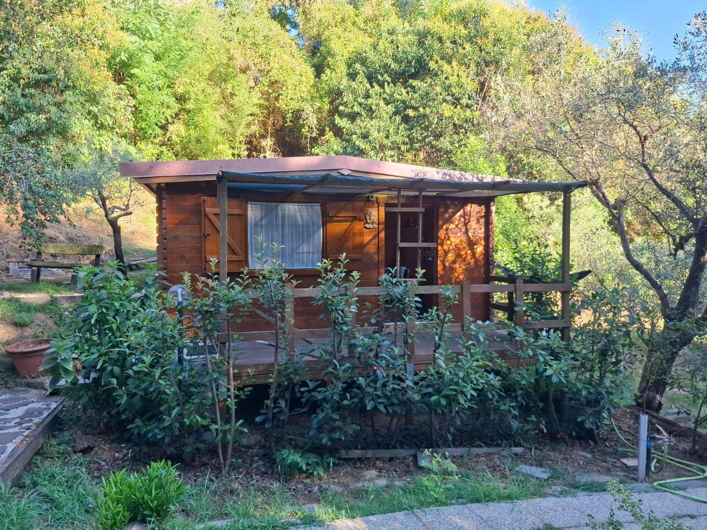 Terreno agricolo Termo, Vezzano Ligure