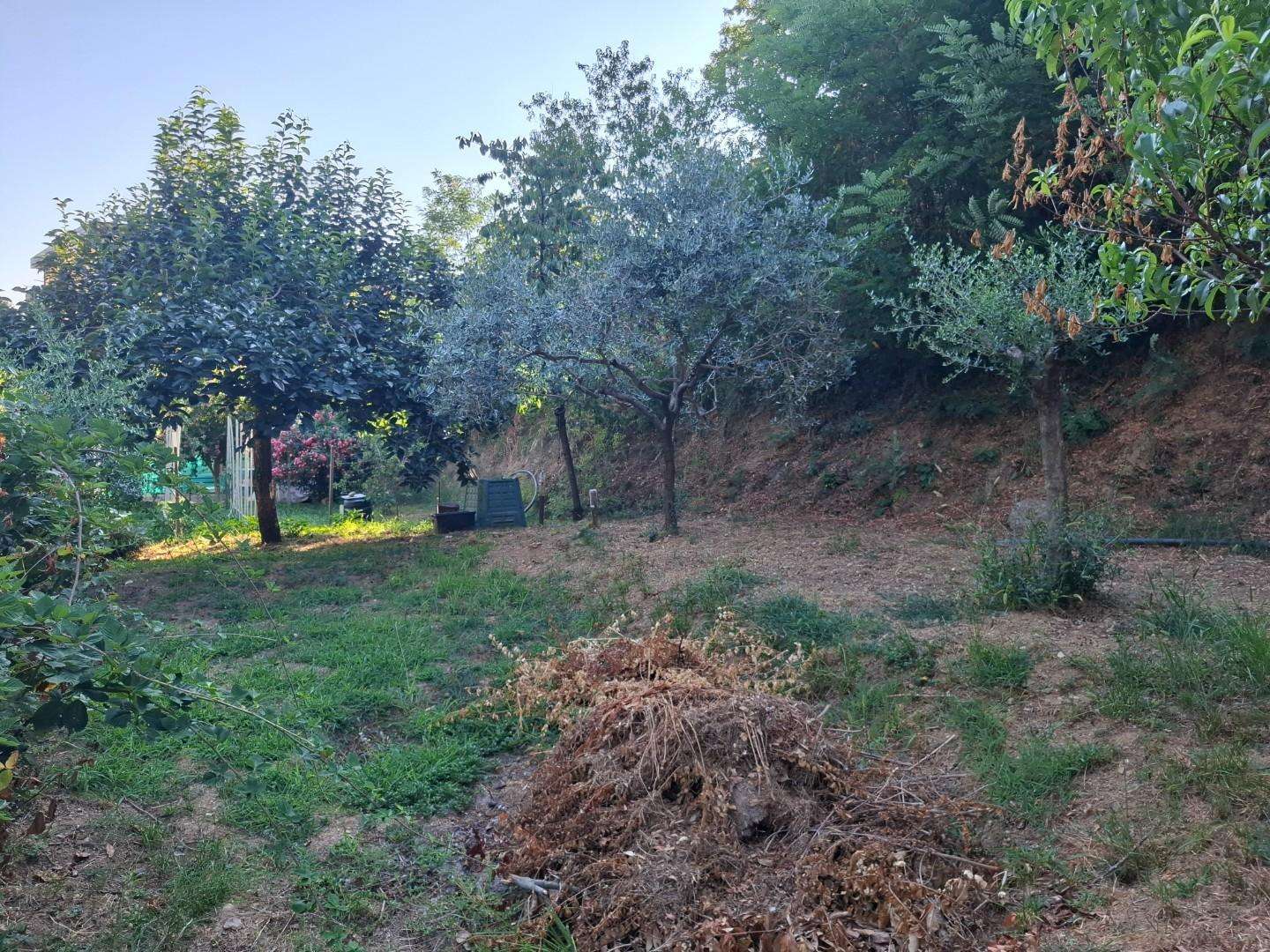  - foto 12