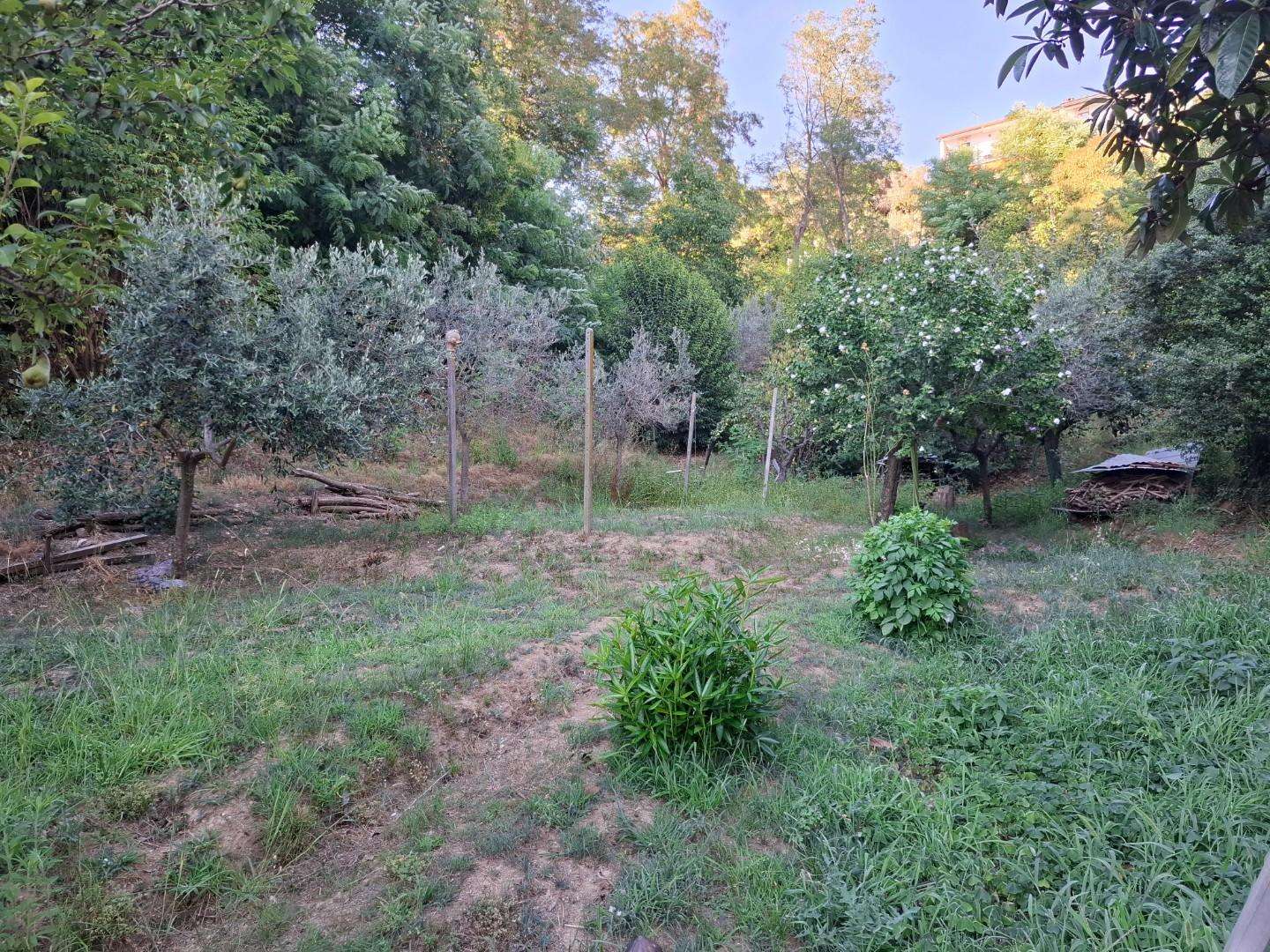 - foto 15