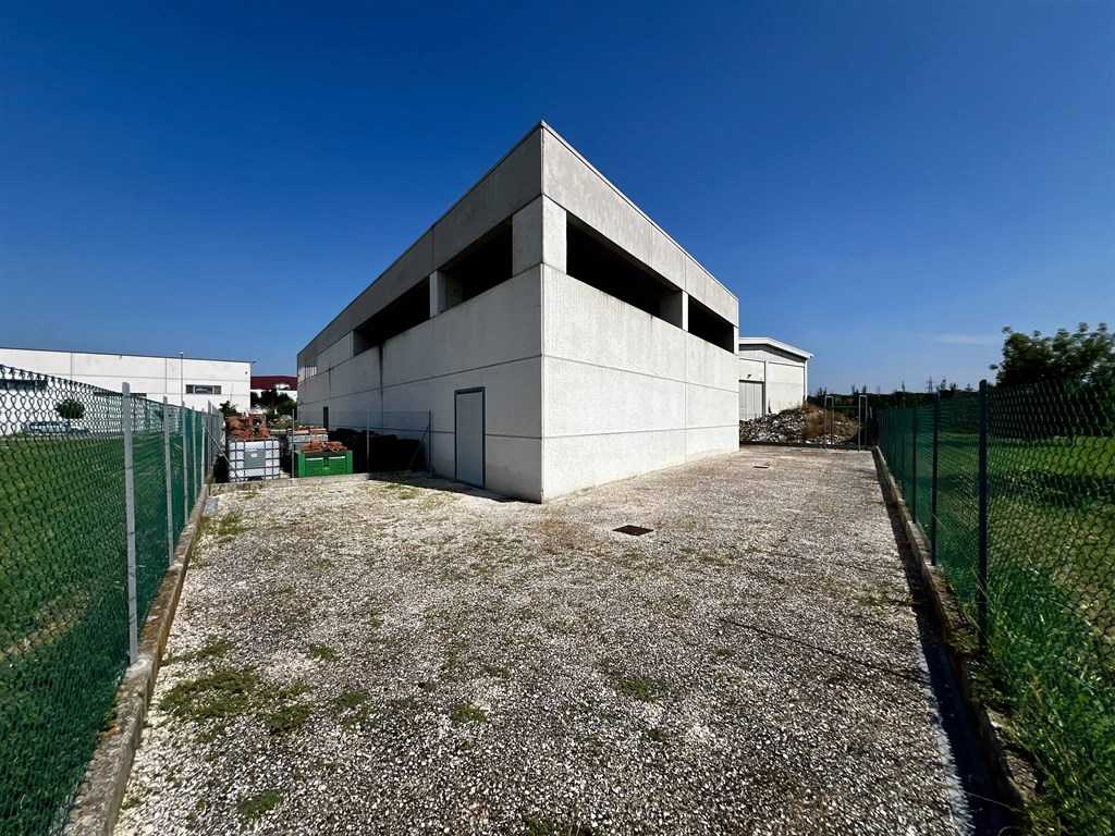  - foto 11