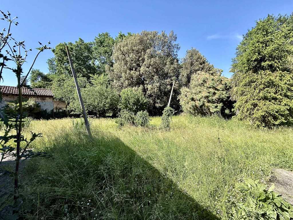  - foto 15