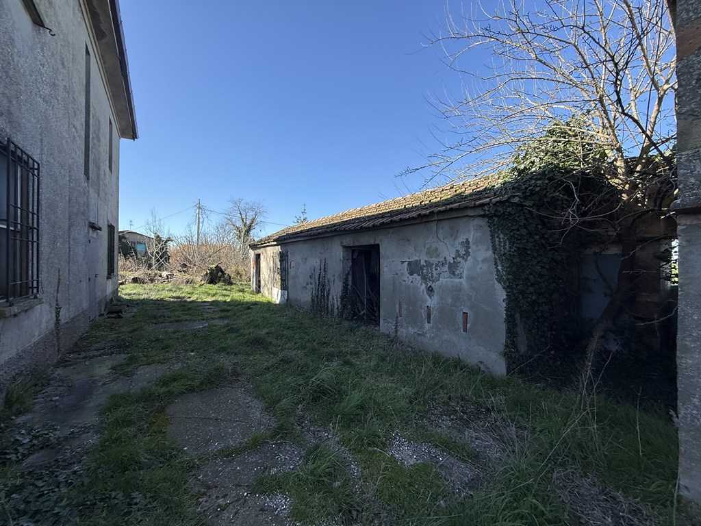  - foto 7