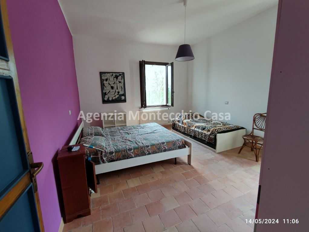  - foto 14