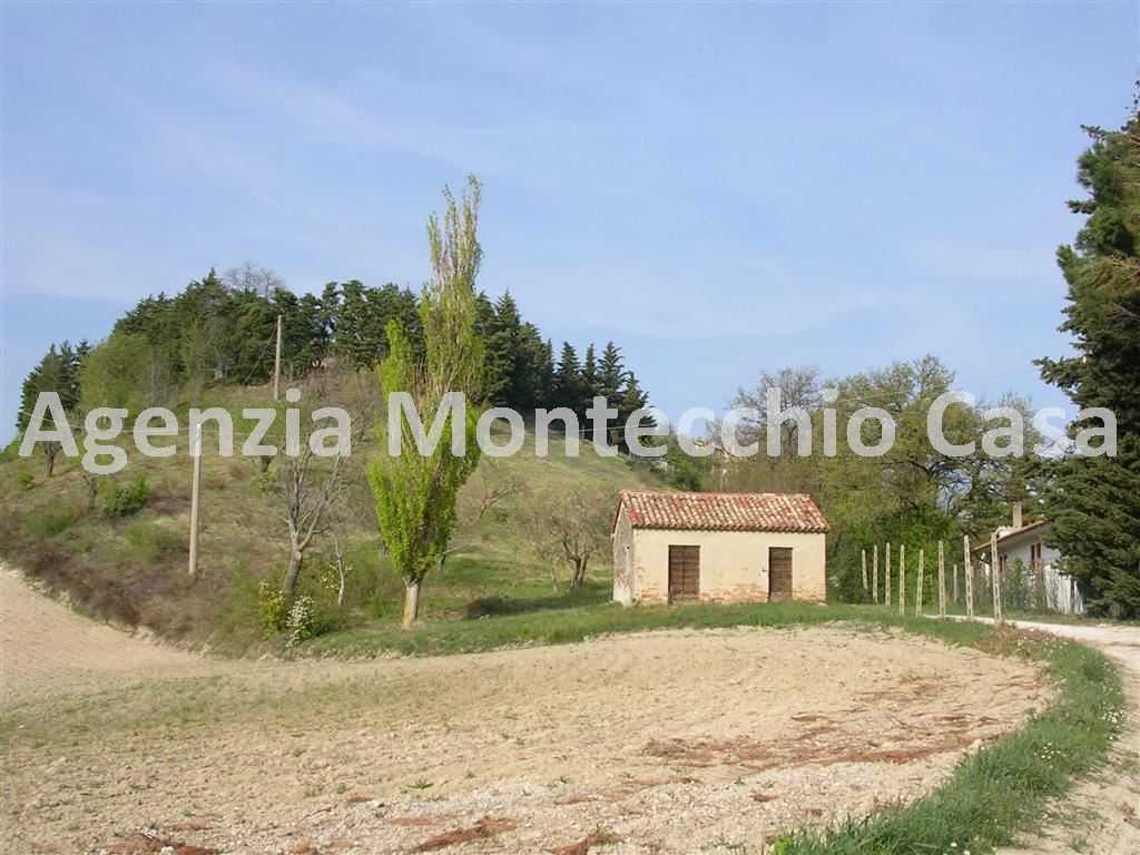 Terreno agricolo Via Monte Giove, Tavullia