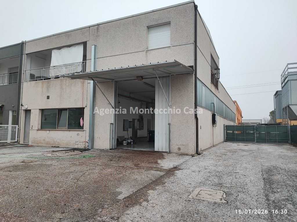  - foto 13