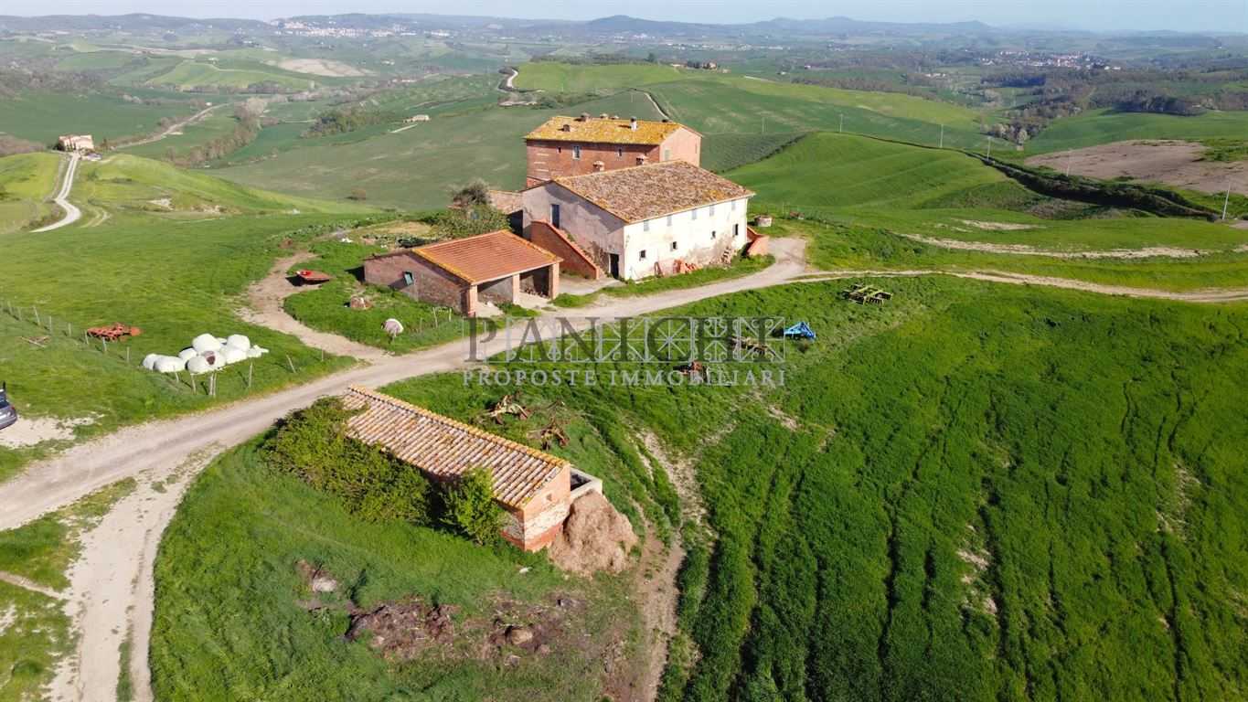 Casale, Asciano
