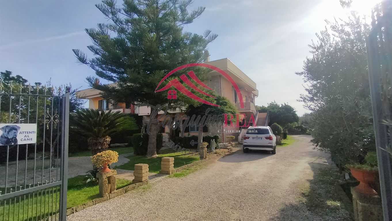  - foto 2