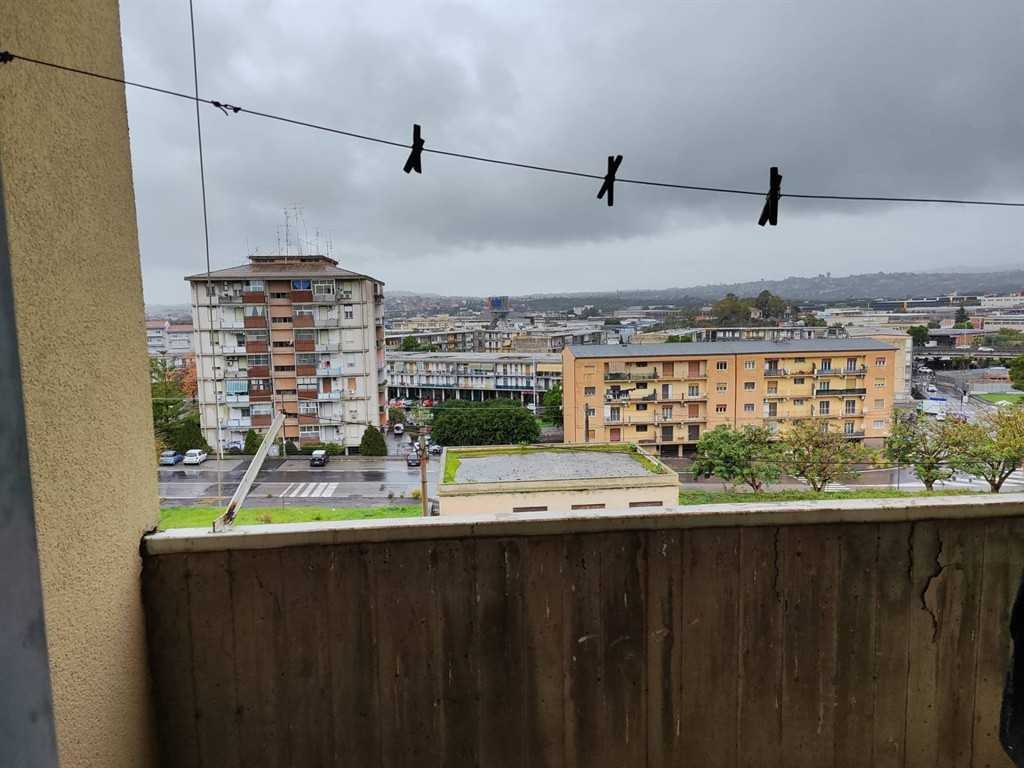  - foto 13