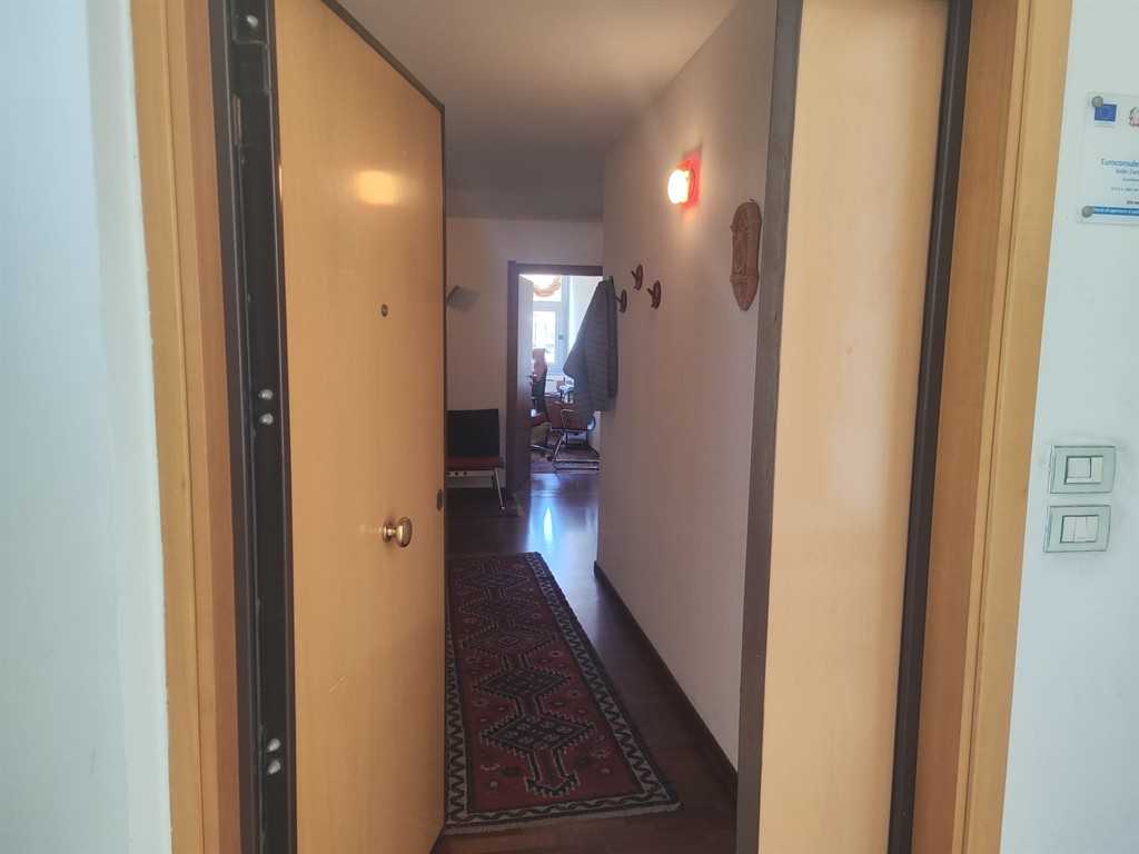  - foto 3