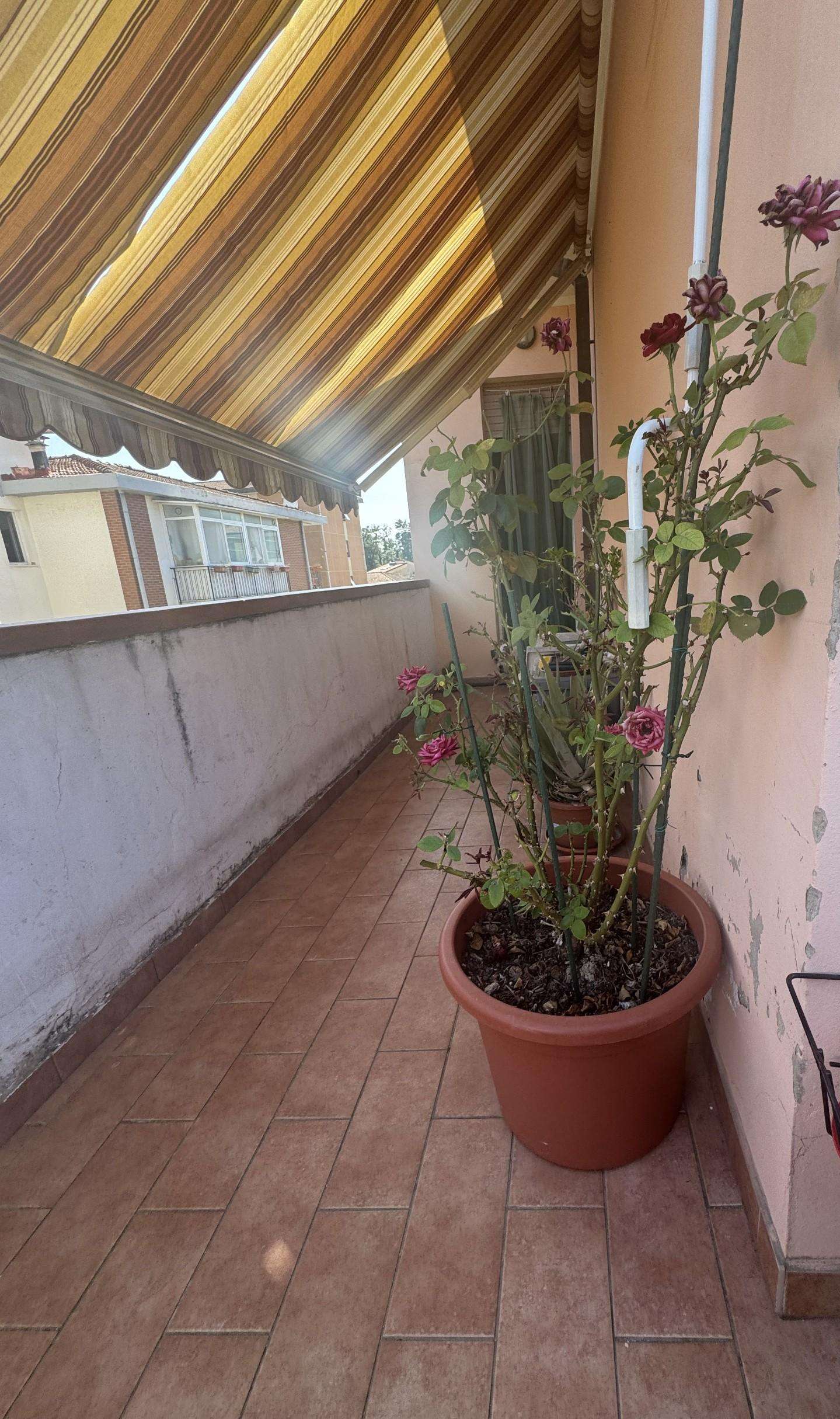  - foto 17